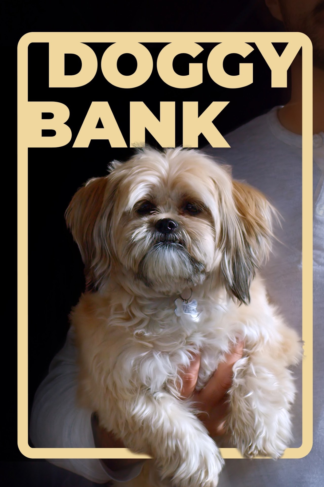 DoggyBank_ThalesCorrea